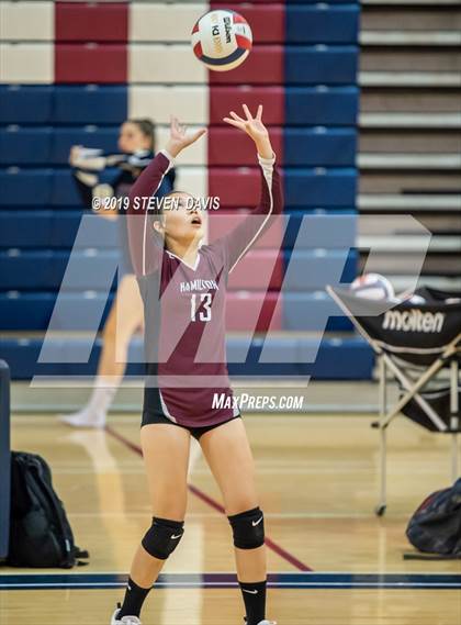 Thumbnail 3 in Hamilton vs Perry photogallery.