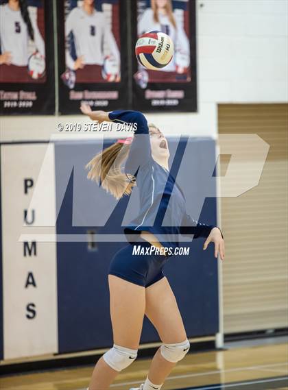 Thumbnail 2 in Hamilton vs Perry photogallery.