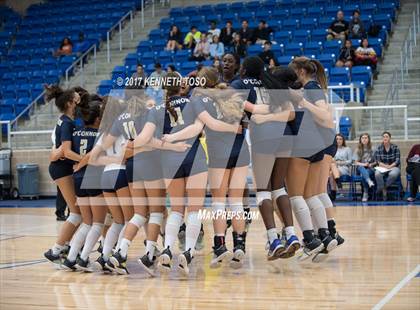 Thumbnail 2 in O'Connor vs Clark (District Seed Playoff) photogallery.