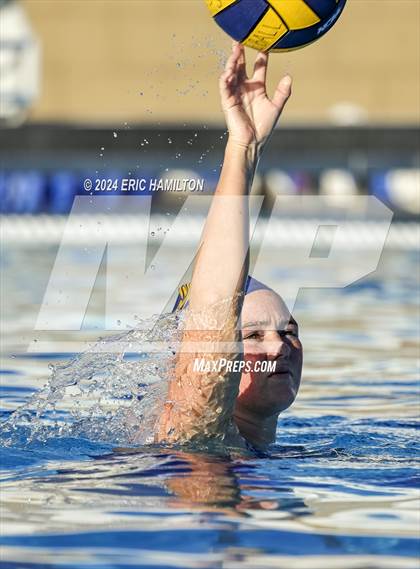 Thumbnail 1 in Schurr @ El Segundo photogallery.