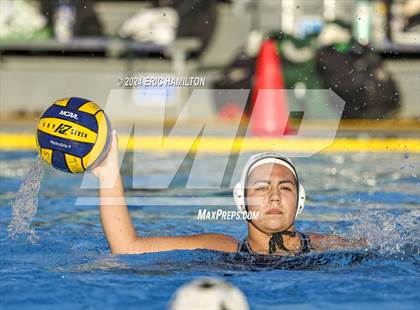 Thumbnail 3 in Schurr @ El Segundo photogallery.