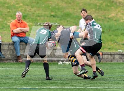 Thumbnail 1 in Marshfield @ Needham photogallery.