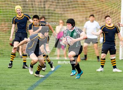 Thumbnail 1 in Marshfield @ Needham photogallery.