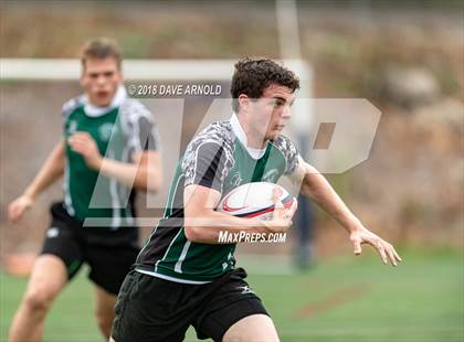 Thumbnail 1 in Marshfield @ Needham photogallery.