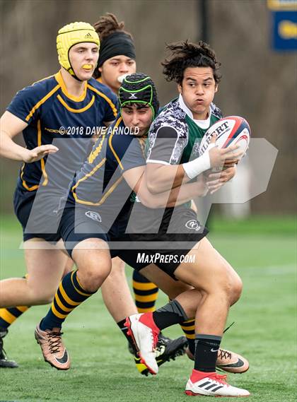 Thumbnail 1 in Marshfield @ Needham photogallery.