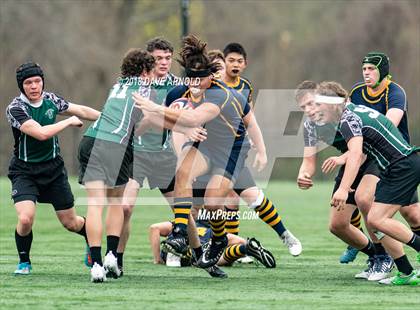 Thumbnail 2 in Marshfield @ Needham photogallery.