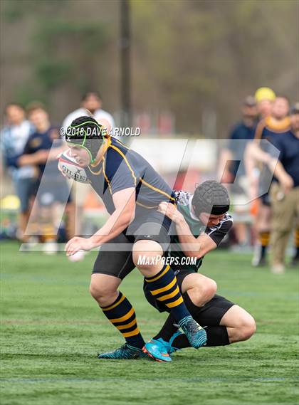 Thumbnail 2 in Marshfield @ Needham photogallery.
