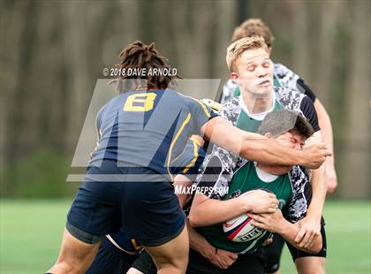 Thumbnail 3 in Marshfield @ Needham photogallery.