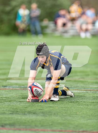 Thumbnail 2 in Marshfield @ Needham photogallery.
