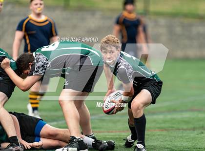 Thumbnail 2 in Marshfield @ Needham photogallery.