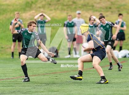 Thumbnail 1 in Marshfield @ Needham photogallery.