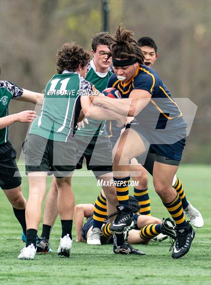 Thumbnail 1 in Marshfield @ Needham photogallery.