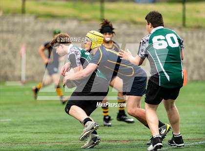 Thumbnail 1 in Marshfield @ Needham photogallery.