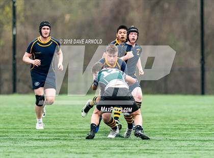 Thumbnail 2 in Marshfield @ Needham photogallery.