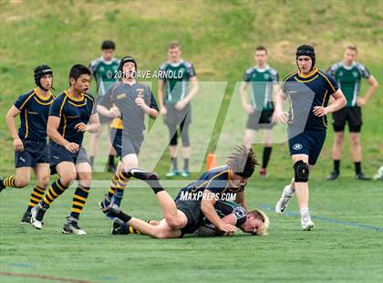 Thumbnail 1 in Marshfield @ Needham photogallery.