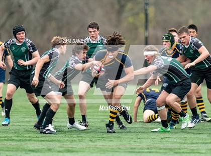 Thumbnail 2 in Marshfield @ Needham photogallery.