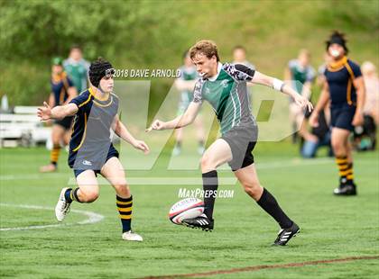Thumbnail 1 in Marshfield @ Needham photogallery.