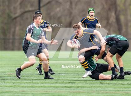 Thumbnail 2 in Marshfield @ Needham photogallery.
