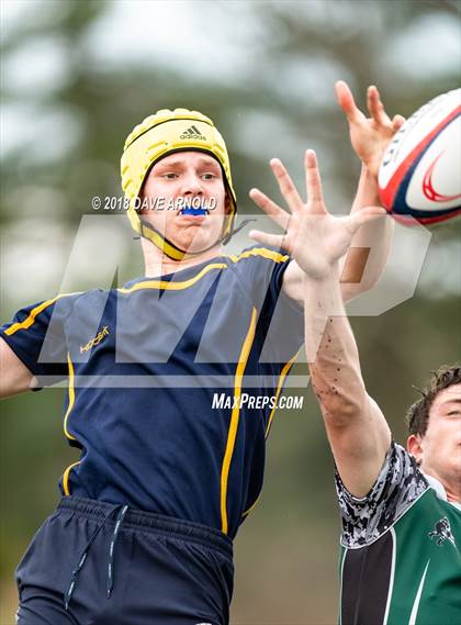 Thumbnail 3 in Marshfield @ Needham photogallery.