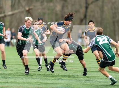 Thumbnail 2 in Marshfield @ Needham photogallery.