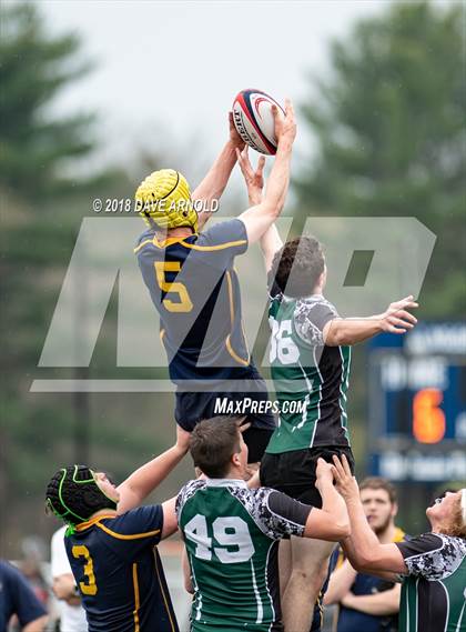 Thumbnail 3 in Marshfield @ Needham photogallery.