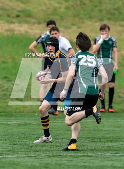 Thumbnail 1 in Marshfield @ Needham photogallery.