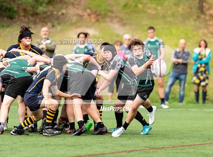 Thumbnail 1 in Marshfield @ Needham photogallery.
