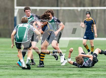 Thumbnail 3 in Marshfield @ Needham photogallery.
