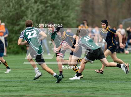 Thumbnail 1 in Marshfield @ Needham photogallery.
