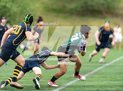 Thumbnail 1 in Marshfield @ Needham photogallery.
