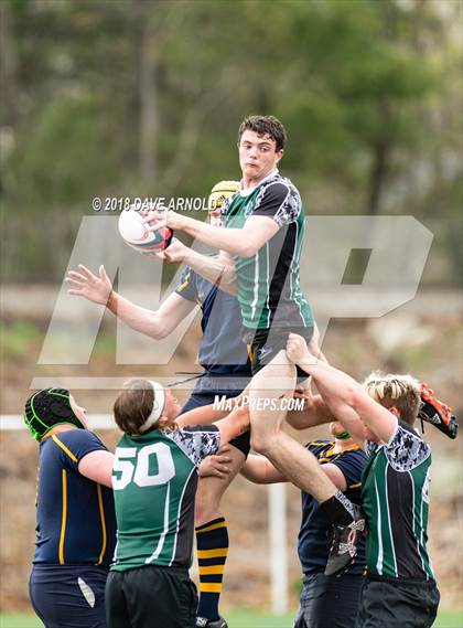 Thumbnail 1 in Marshfield @ Needham photogallery.