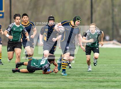 Thumbnail 1 in Marshfield @ Needham photogallery.