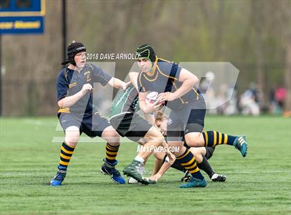 Thumbnail 1 in Marshfield @ Needham photogallery.