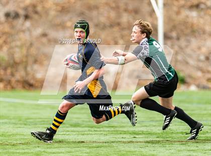 Thumbnail 2 in Marshfield @ Needham photogallery.