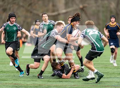 Thumbnail 2 in Marshfield @ Needham photogallery.