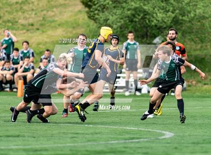 Thumbnail 3 in Marshfield @ Needham photogallery.