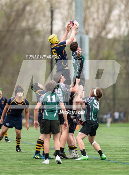Thumbnail 2 in Marshfield @ Needham photogallery.