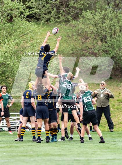 Thumbnail 1 in Marshfield @ Needham photogallery.