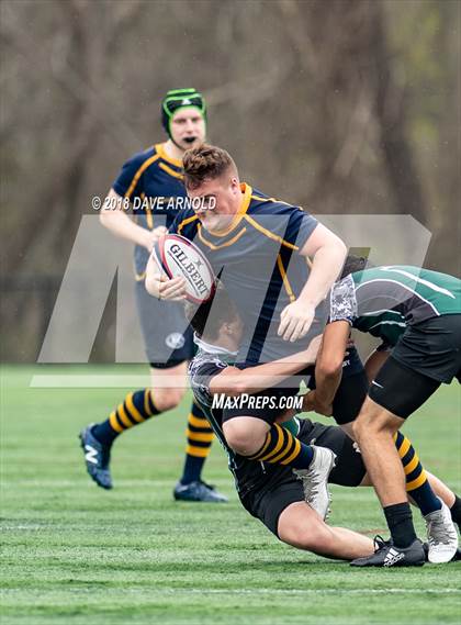 Thumbnail 1 in Marshfield @ Needham photogallery.