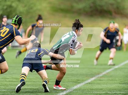 Thumbnail 3 in Marshfield @ Needham photogallery.