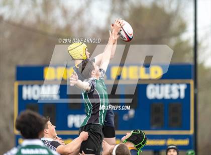 Thumbnail 1 in Marshfield @ Needham photogallery.