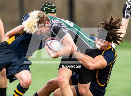 Thumbnail 3 in Marshfield @ Needham photogallery.