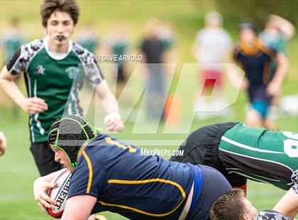 Thumbnail 1 in Marshfield @ Needham photogallery.
