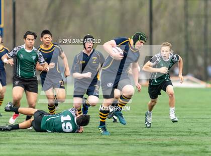 Thumbnail 2 in Marshfield @ Needham photogallery.