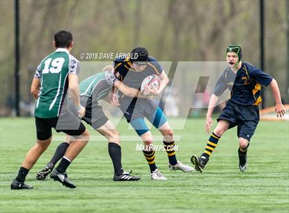 Thumbnail 1 in Marshfield @ Needham photogallery.