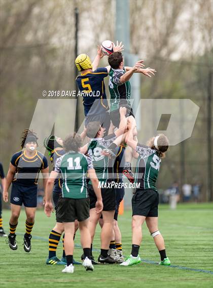 Thumbnail 1 in Marshfield @ Needham photogallery.