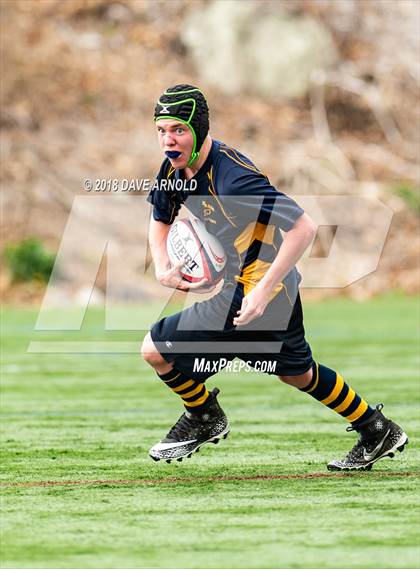Thumbnail 3 in Marshfield @ Needham photogallery.