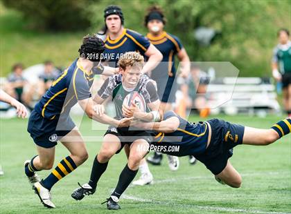 Thumbnail 2 in Marshfield @ Needham photogallery.