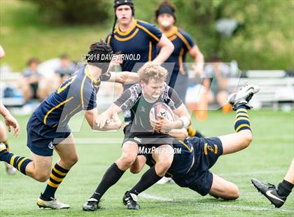 Thumbnail 3 in Marshfield @ Needham photogallery.