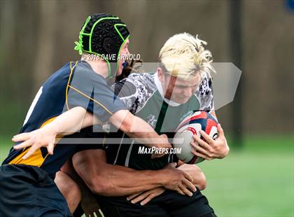 Thumbnail 2 in Marshfield @ Needham photogallery.
